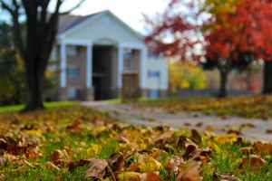 A blurred image of a house with a path leading to it, surrounded by grass and fallen autumn leaves.