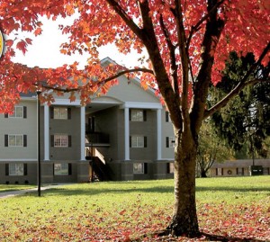 A beige and white two-story building with columns is framed by a tree with red leaves on a grassy lawn.