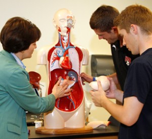 Three people examining a human anatomical model, focusing on various internal organs in a classroom setting.